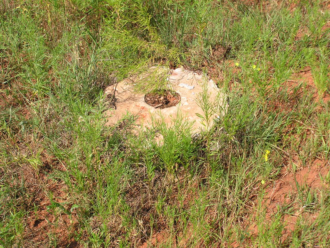 P7100005.JPG