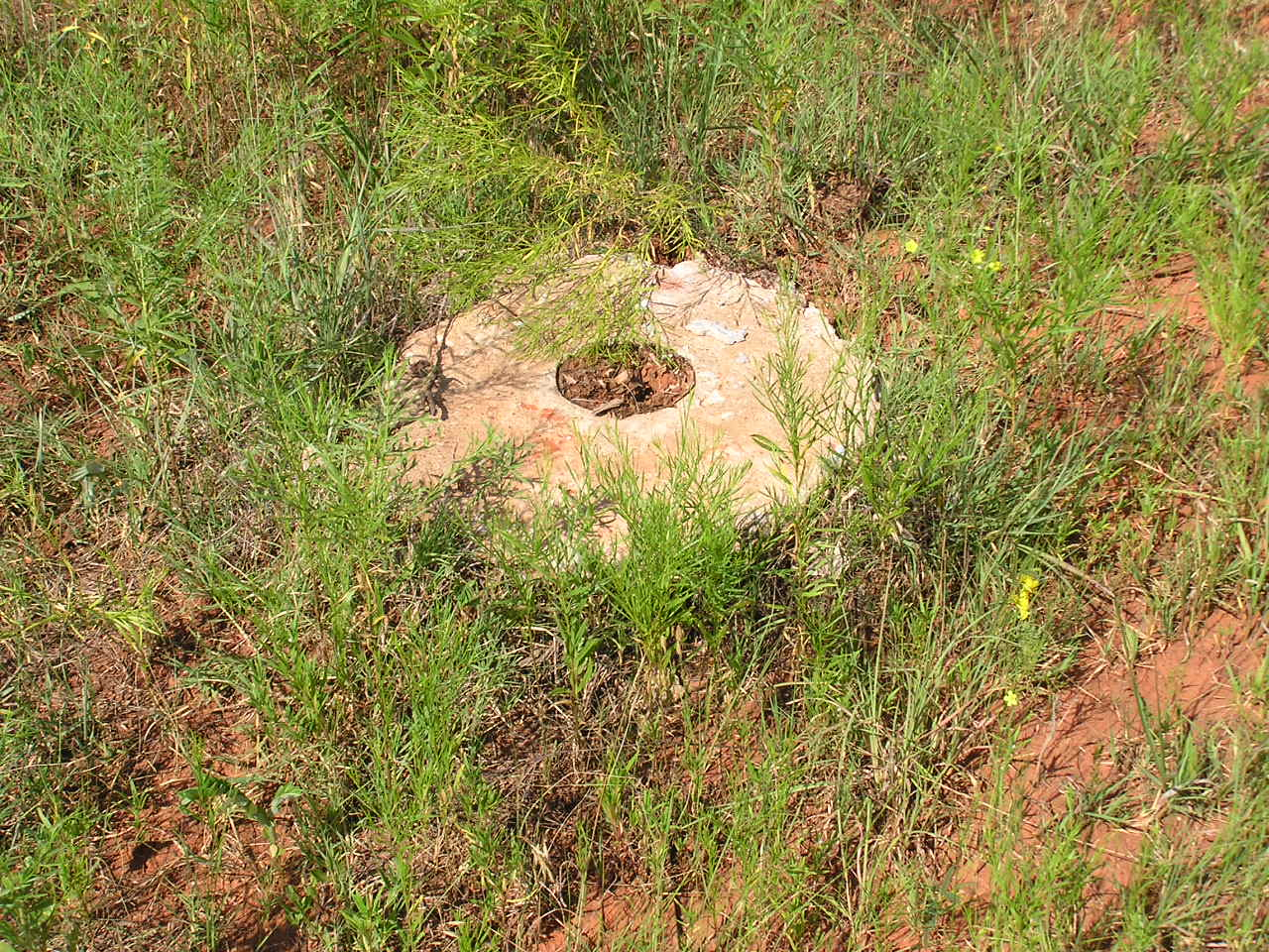 P7100005.JPG