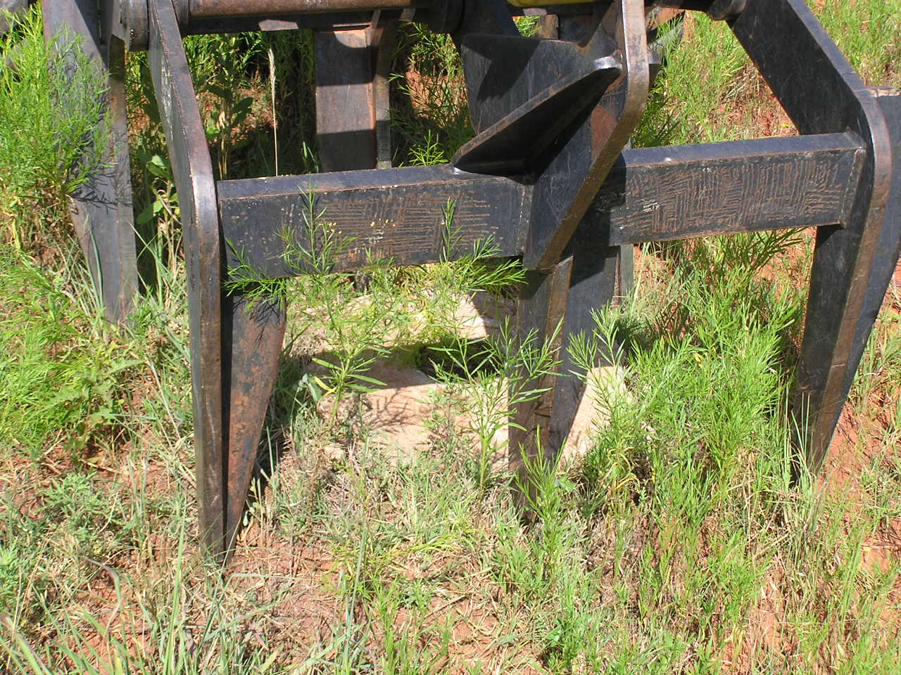 P7100008.JPG