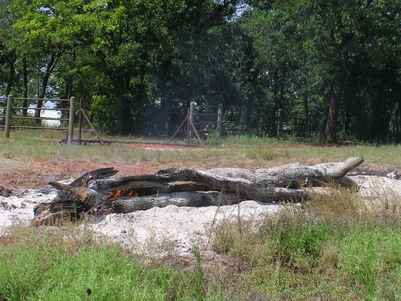 P7100009.JPG
