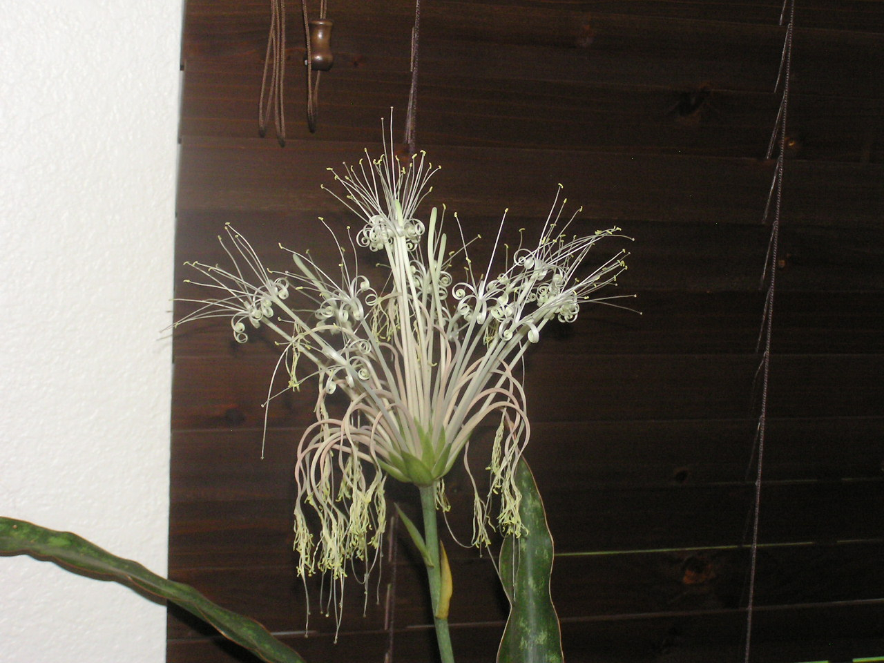 P7180007.JPG