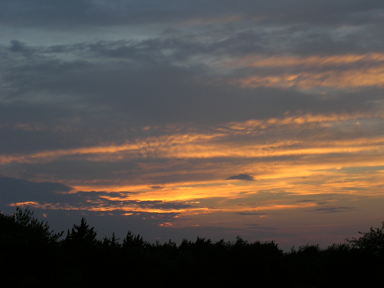 P7270621.JPG