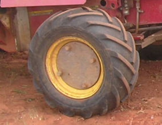 P8040013c.jpg