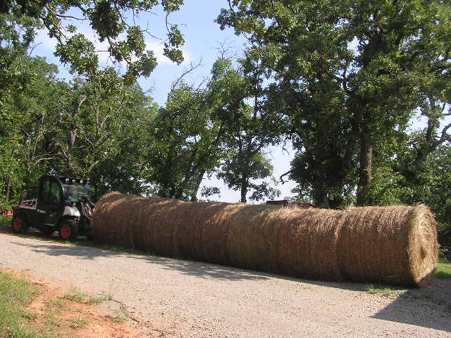 P8110002.JPG