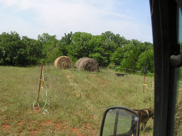 P8110007.JPG