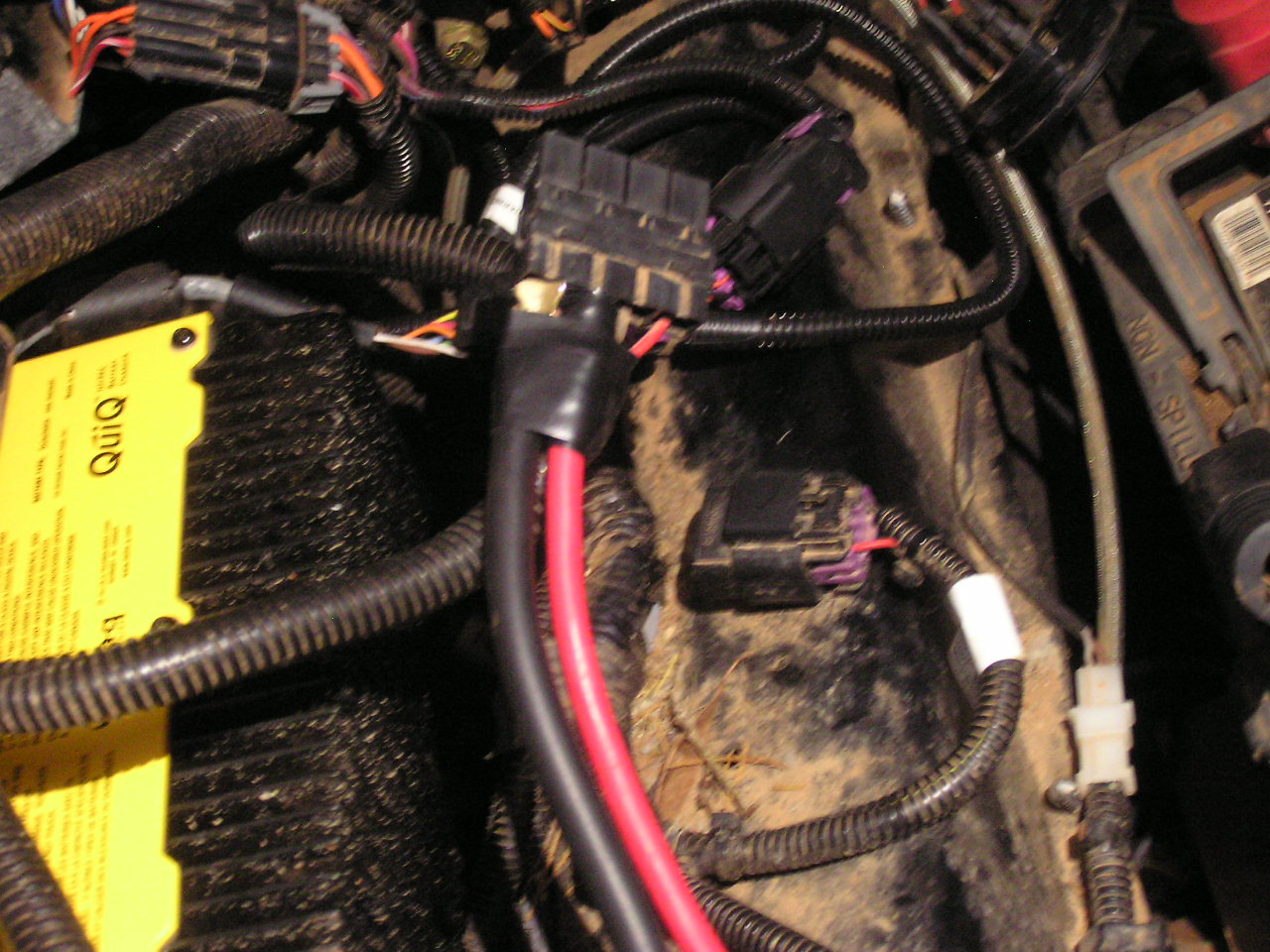 P8130019.JPG
