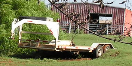 P8181937 cropped.JPG