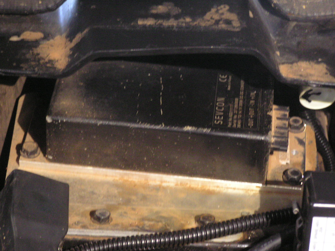 P8190004.JPG