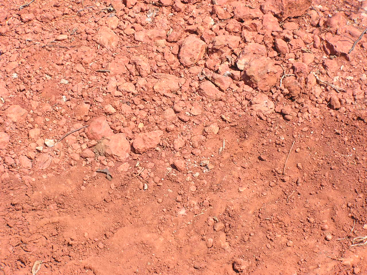 P8240005.JPG