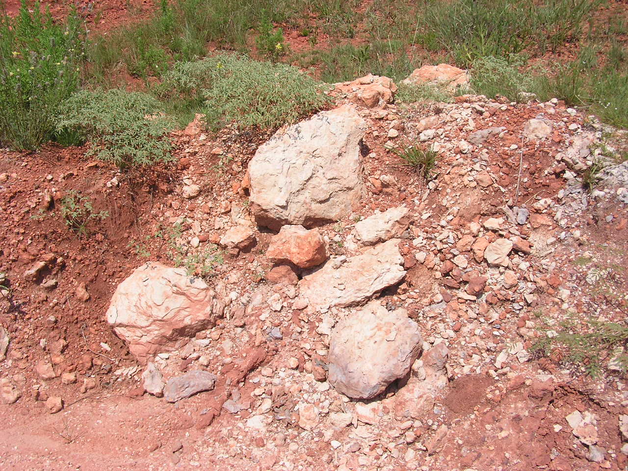 P8240022.JPG