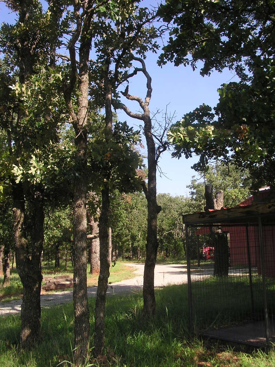 P8260003.JPG