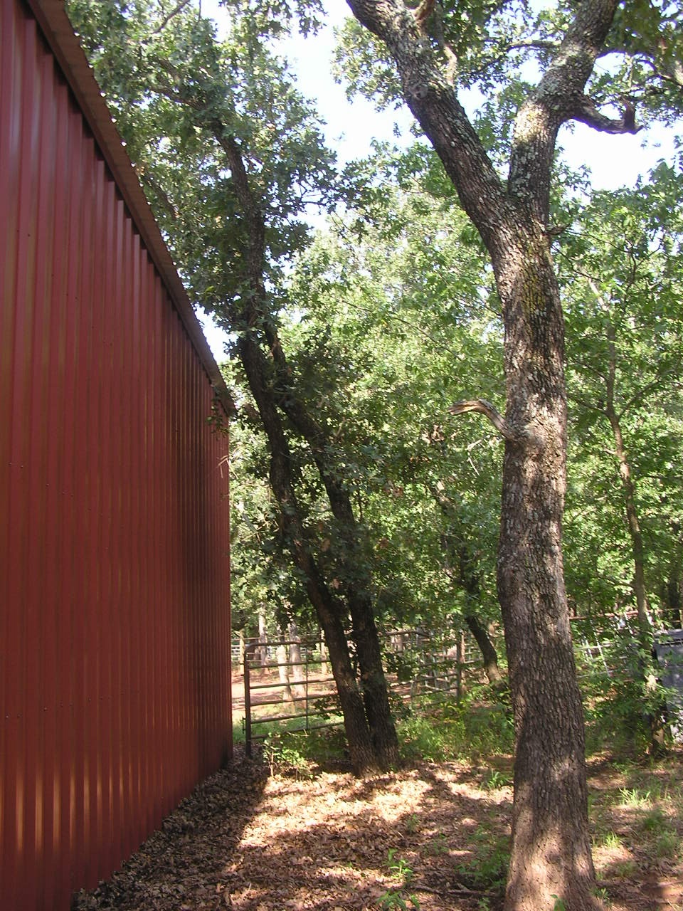 P8260003.JPG