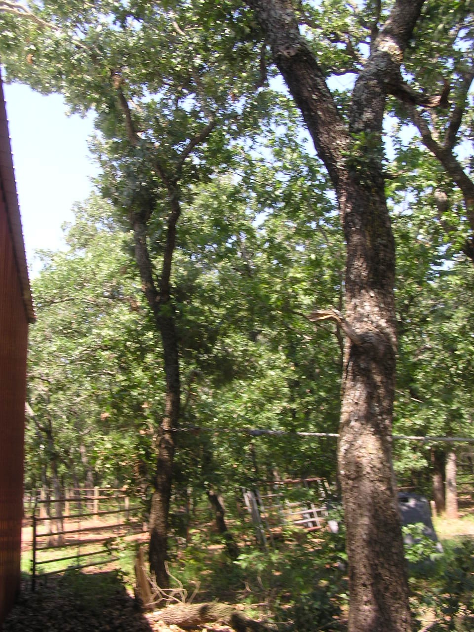 P8260026.JPG
