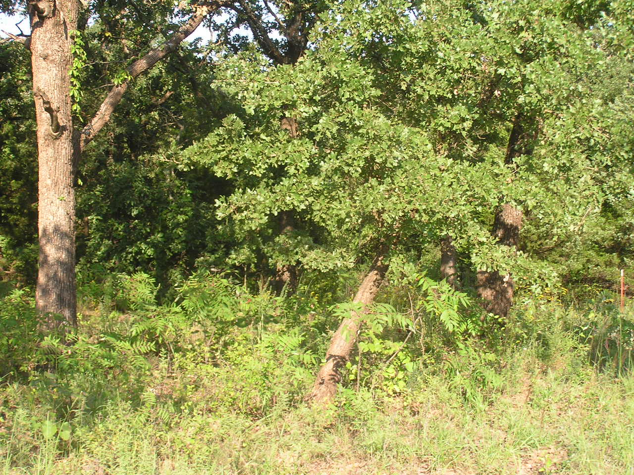 P9010003.JPG