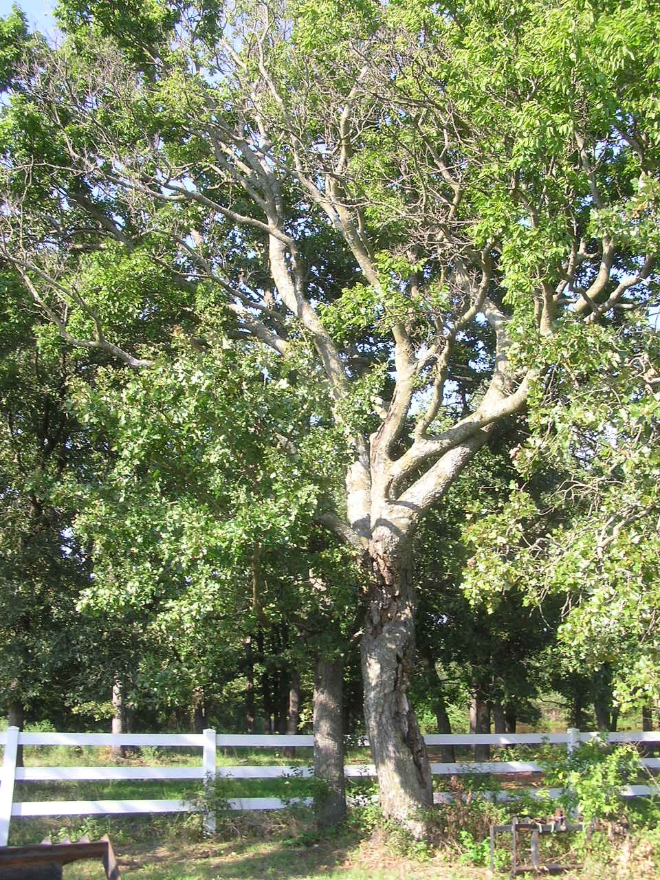 P9020002.JPG