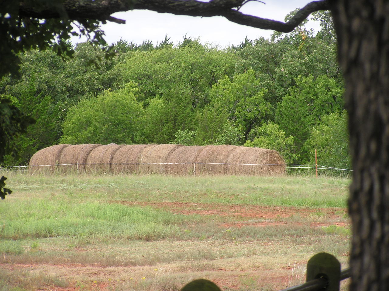 P9030001.JPG