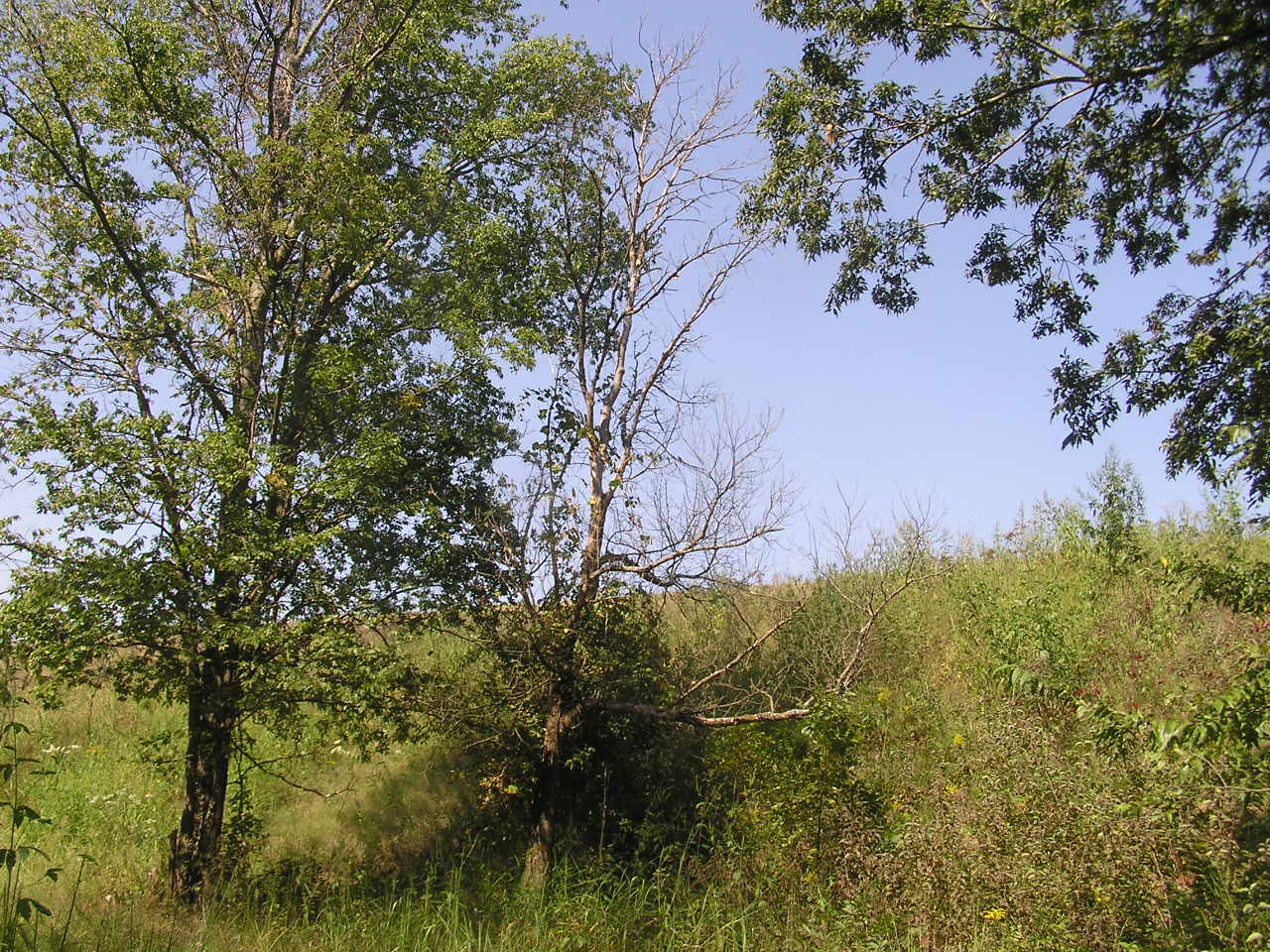 P9110004.JPG