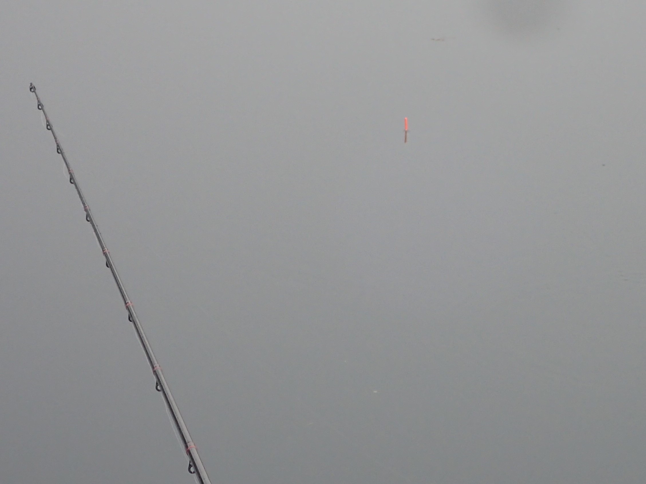 P9150088 float.jpg