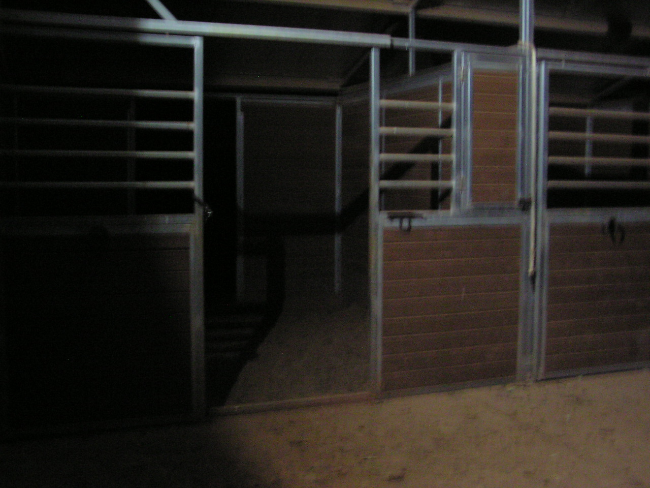 PA020015.JPG