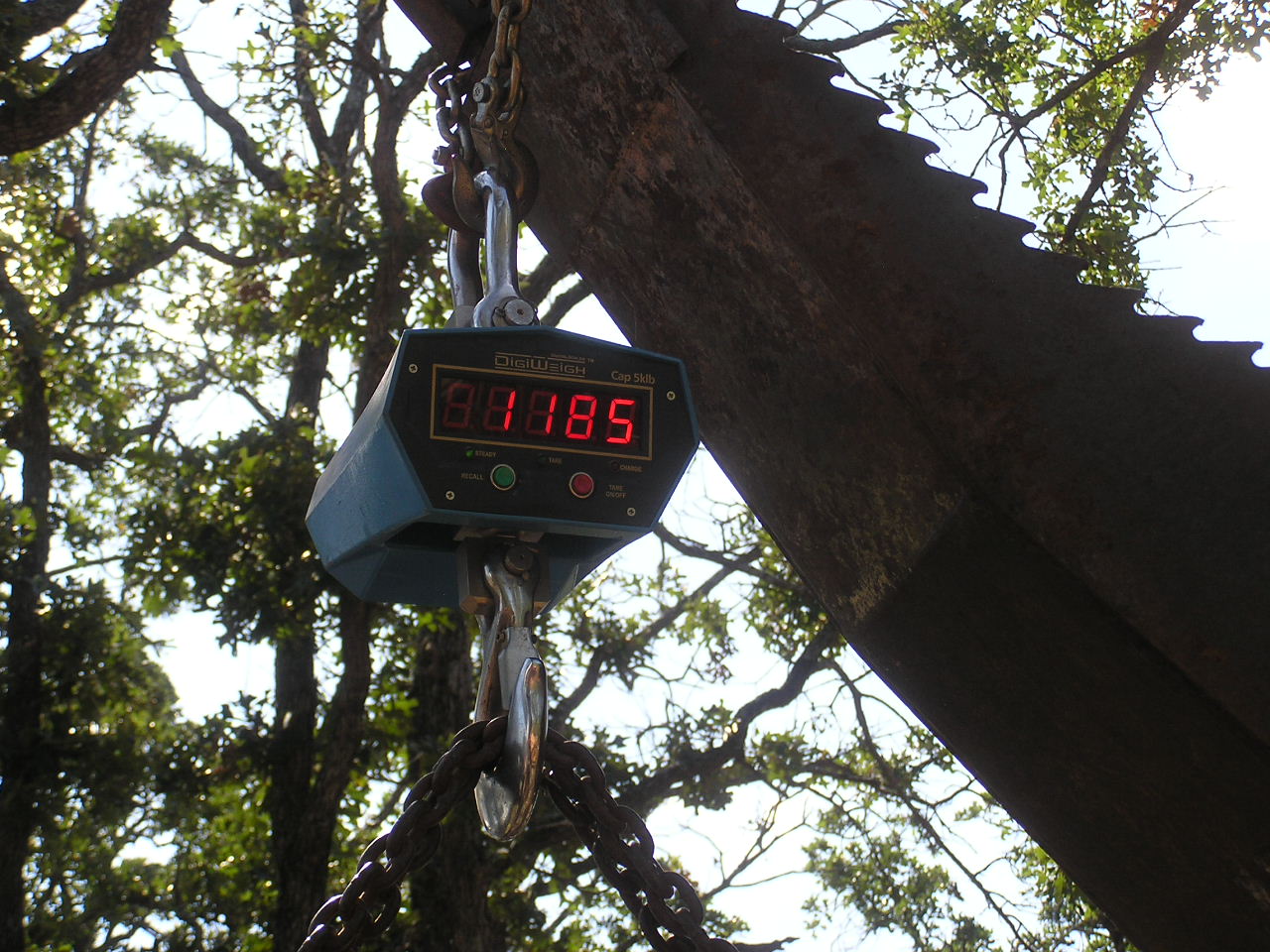 PA030012.JPG