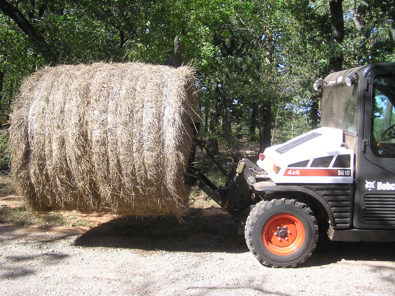 PA030015.JPG
