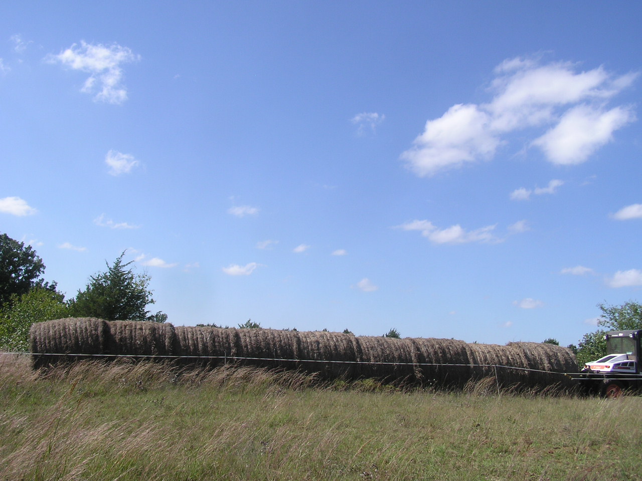 PA030028.JPG