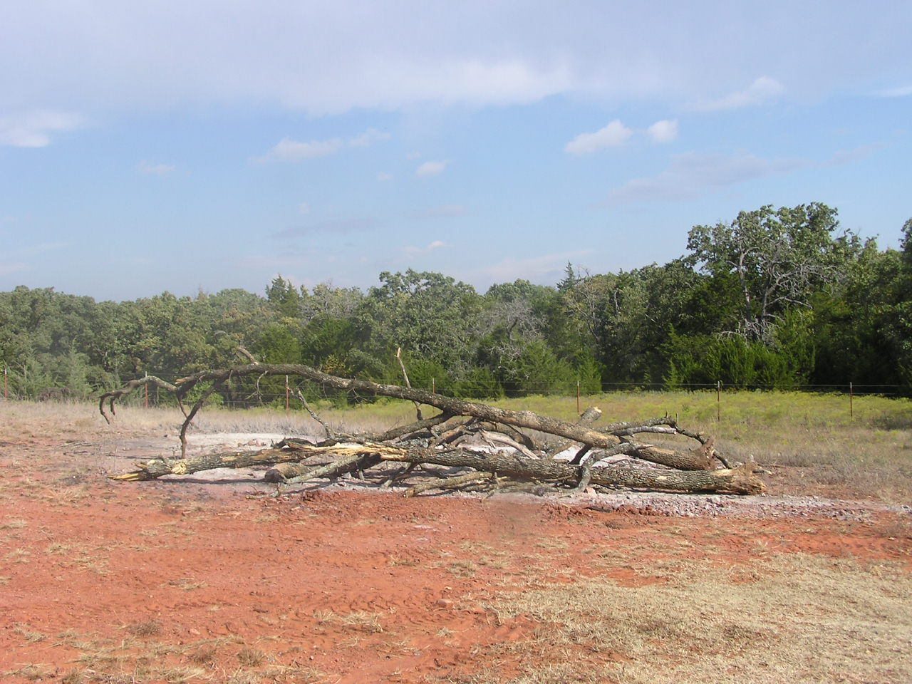 PA040055.JPG