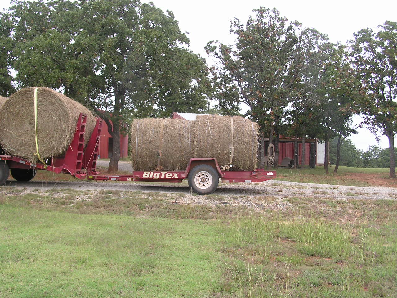 PA050018.JPG