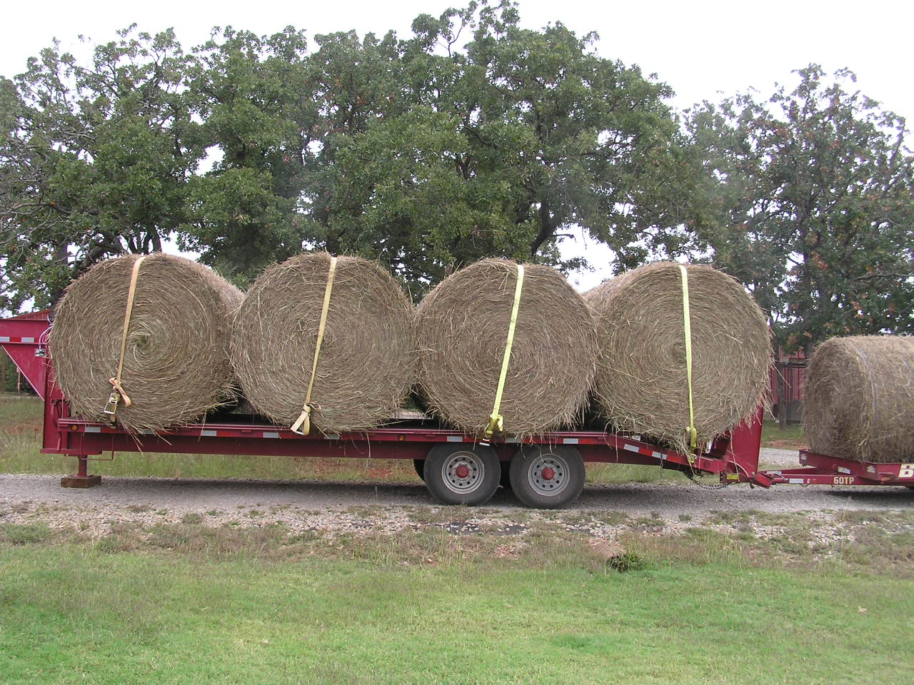 PA050023.JPG