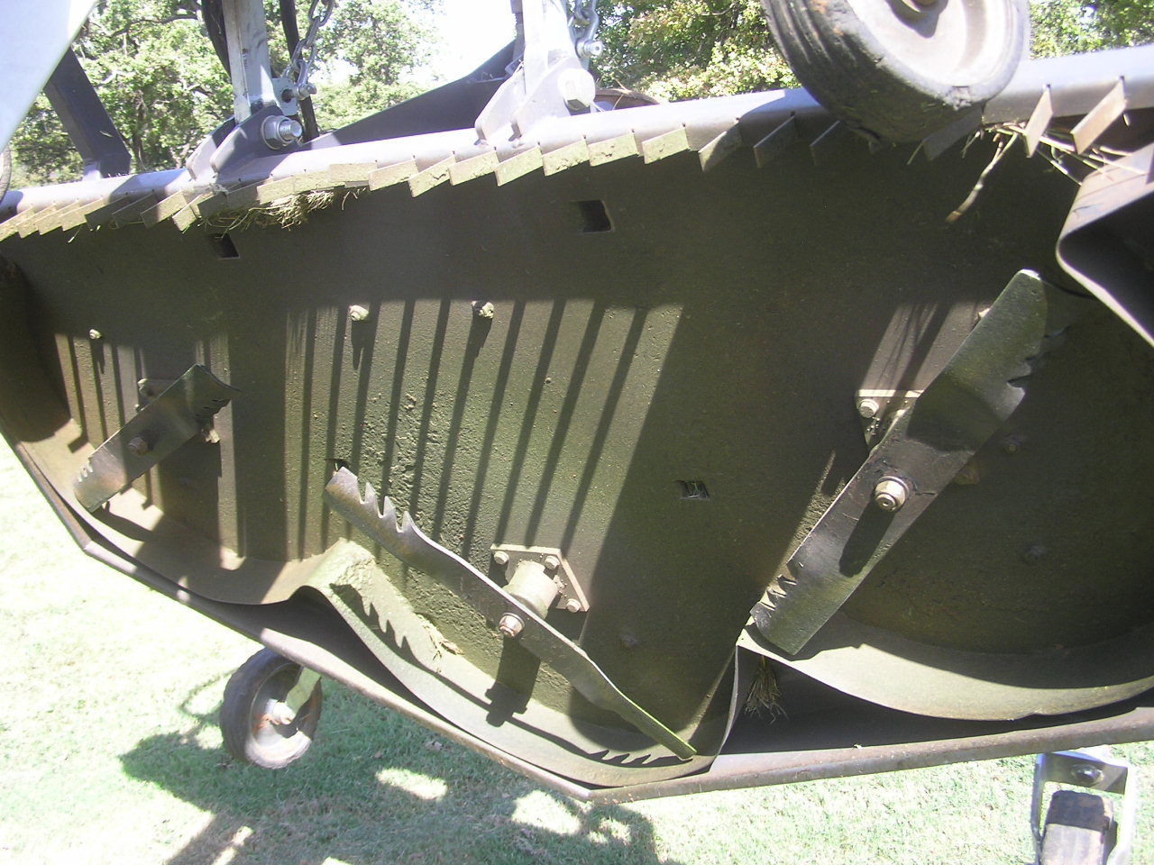 PA080008.JPG