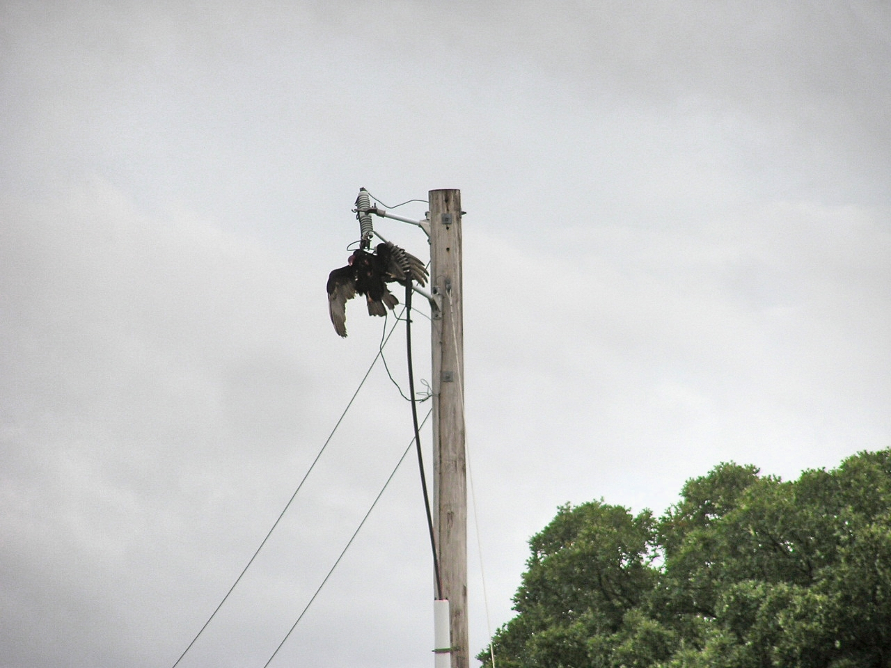 PA090004.JPG