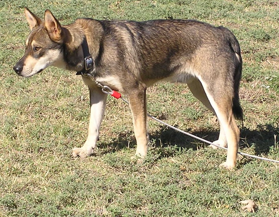 PA200020c.JPG