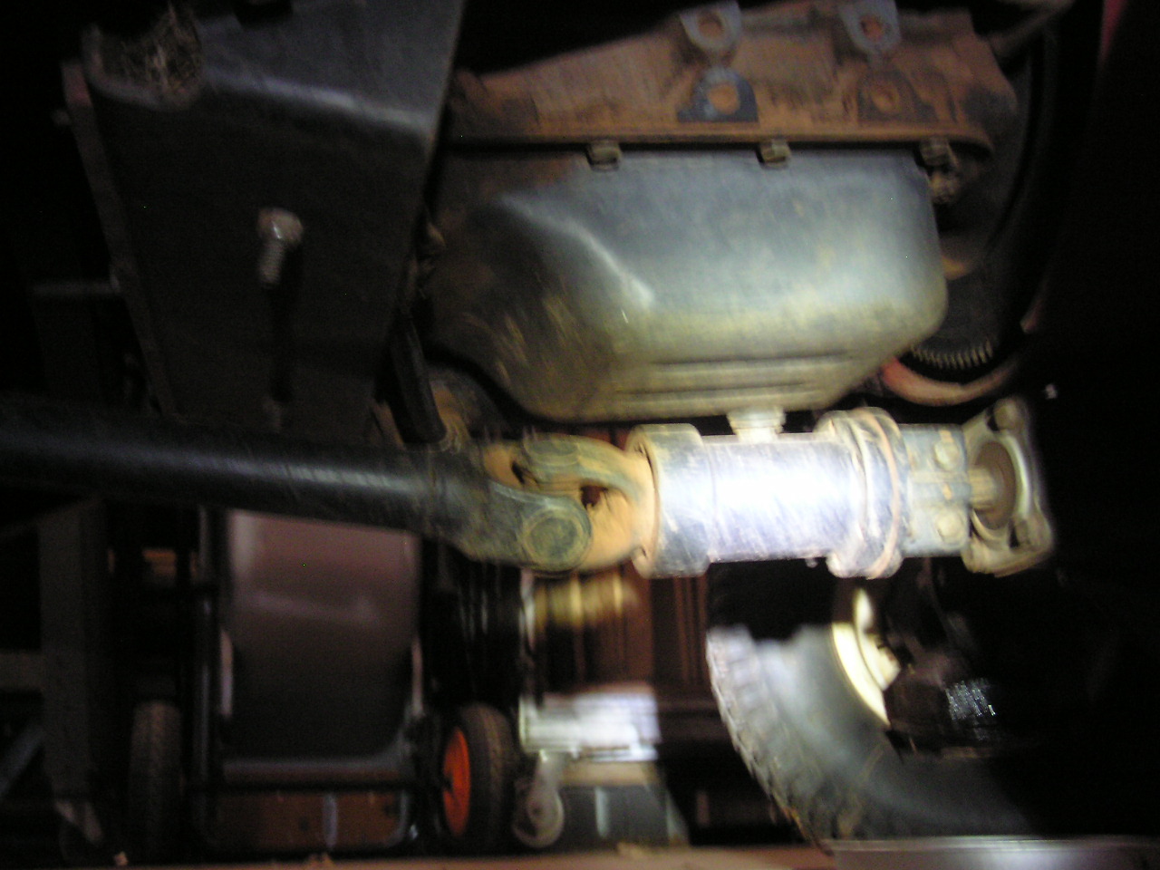 PA230002.JPG