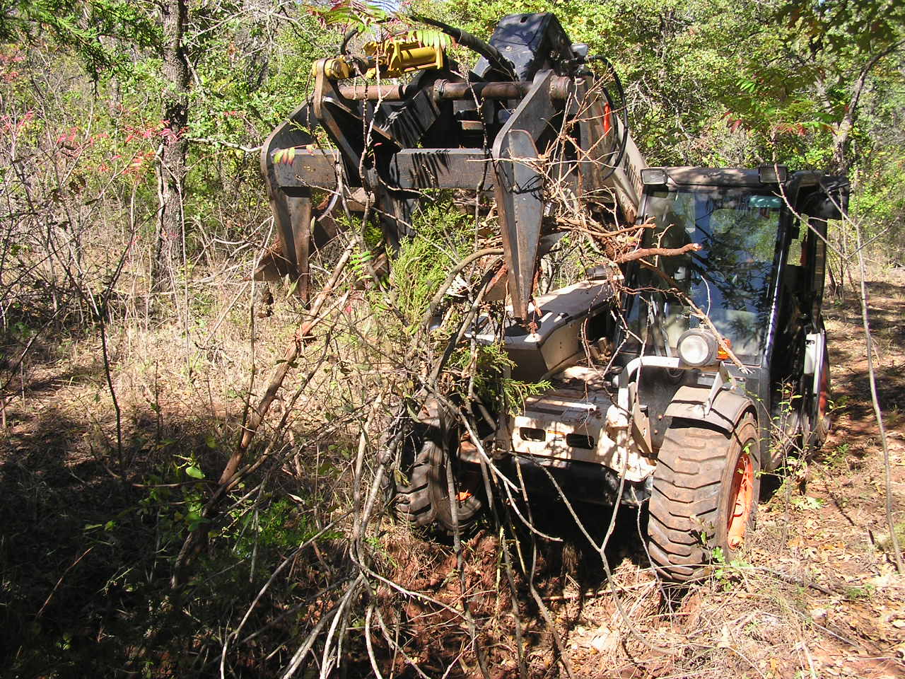 PA260015.JPG