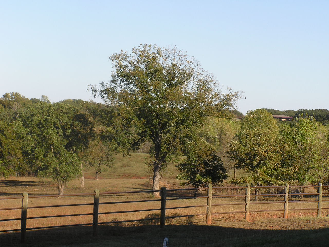 PA290004.JPG