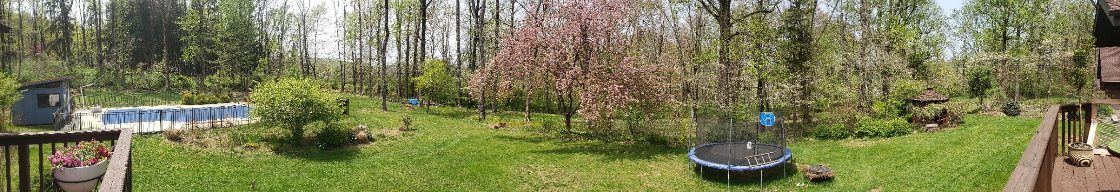 pan_back20210424_131113.jpg