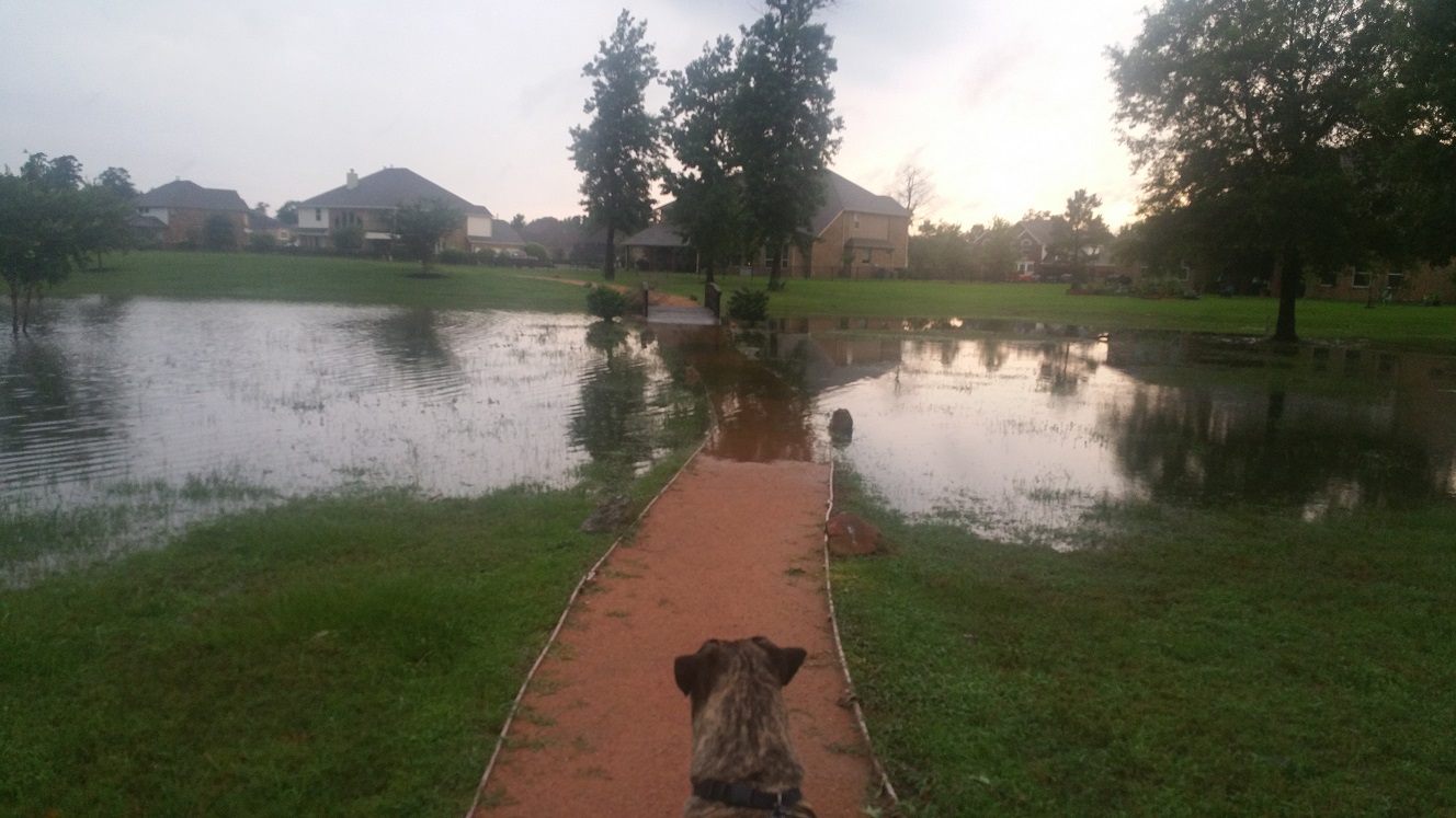 park 2.jpg