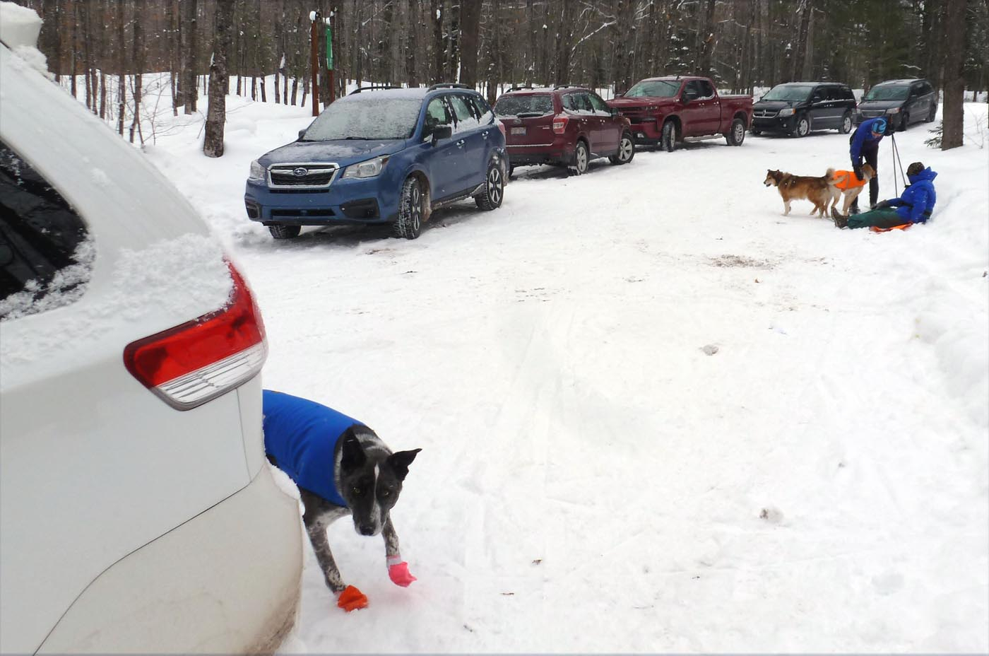 parkinglot0119.jpg