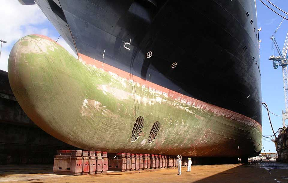 Passenger_ship_Zaandam_in_drydock.jpg