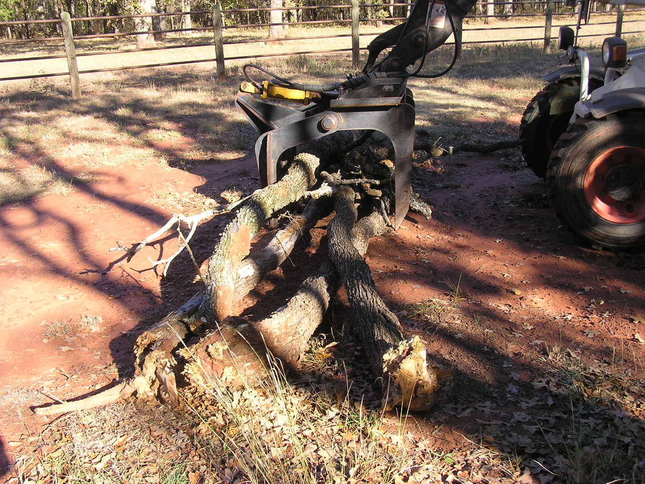 PB020013.JPG