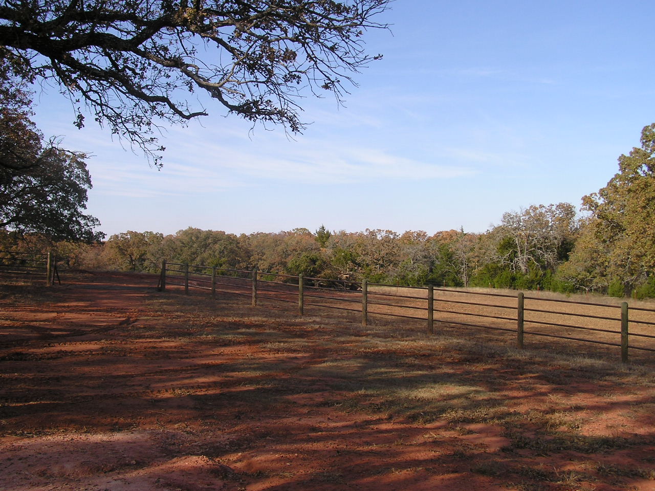PB140021.JPG
