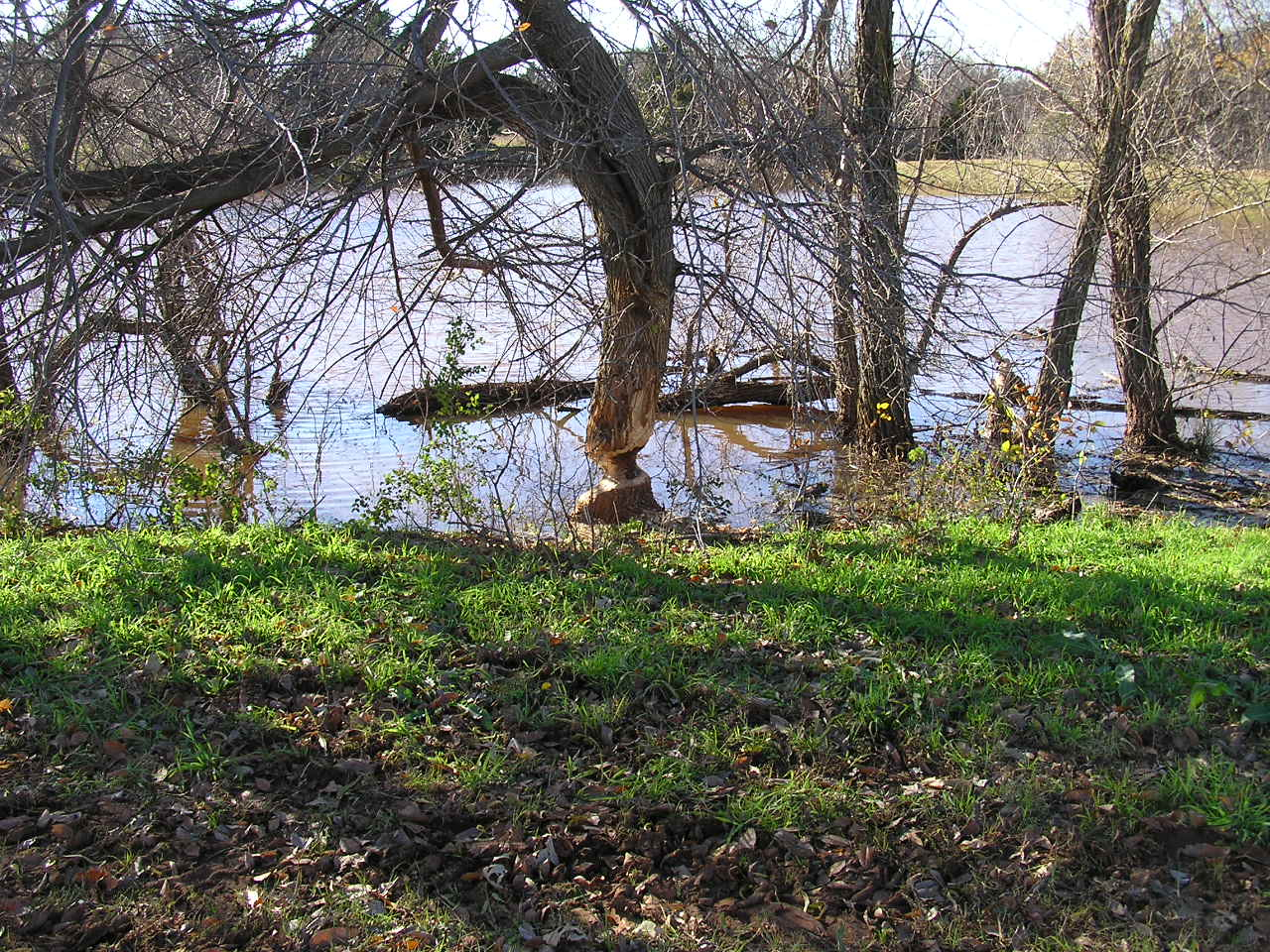 PC031351.JPG