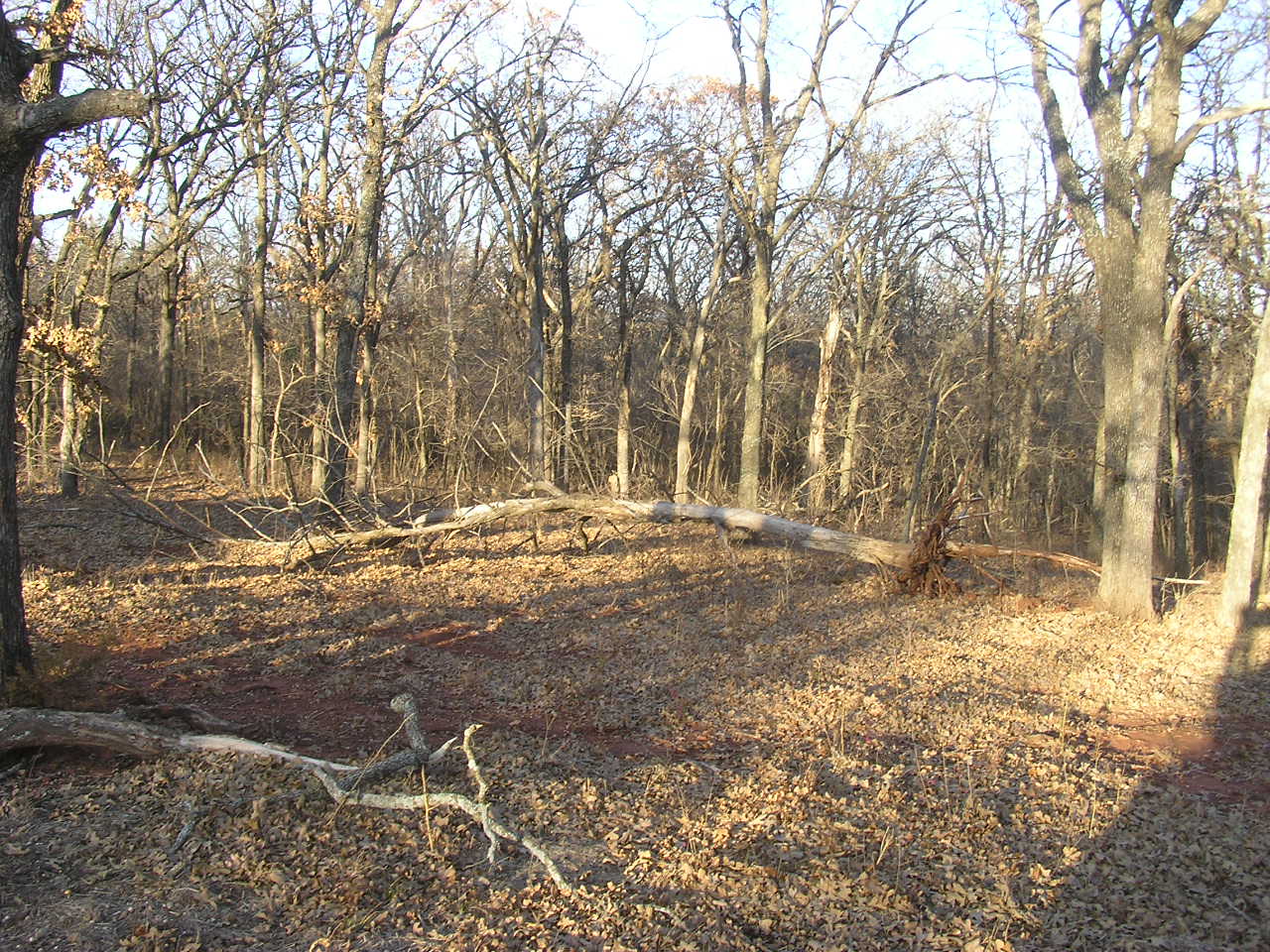 PC210012.JPG