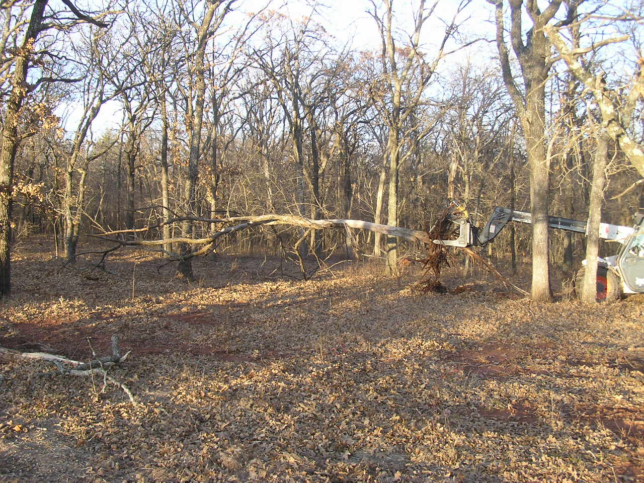 PC210013.JPG