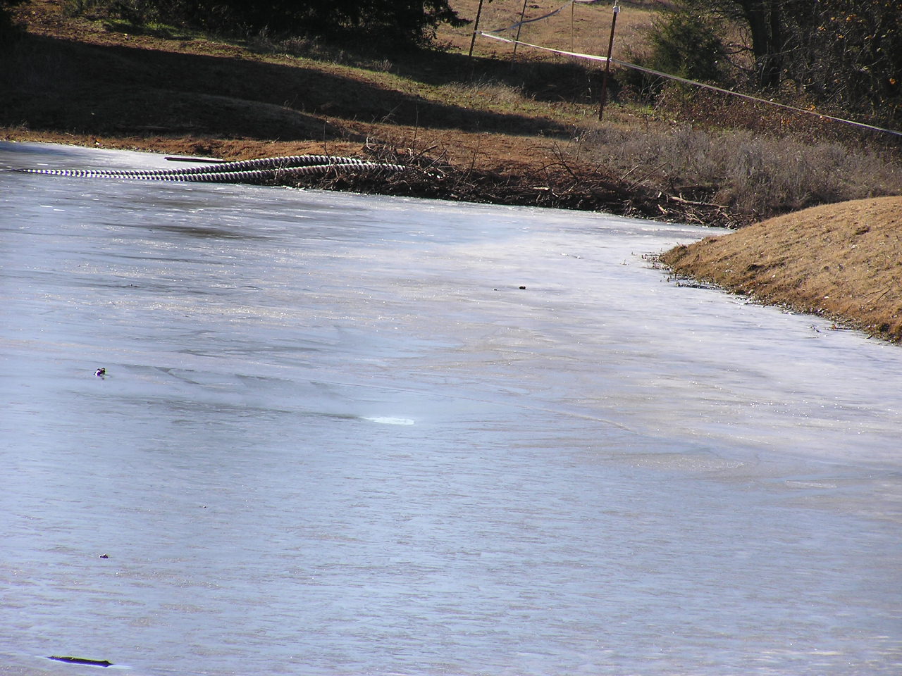 PC251400.JPG