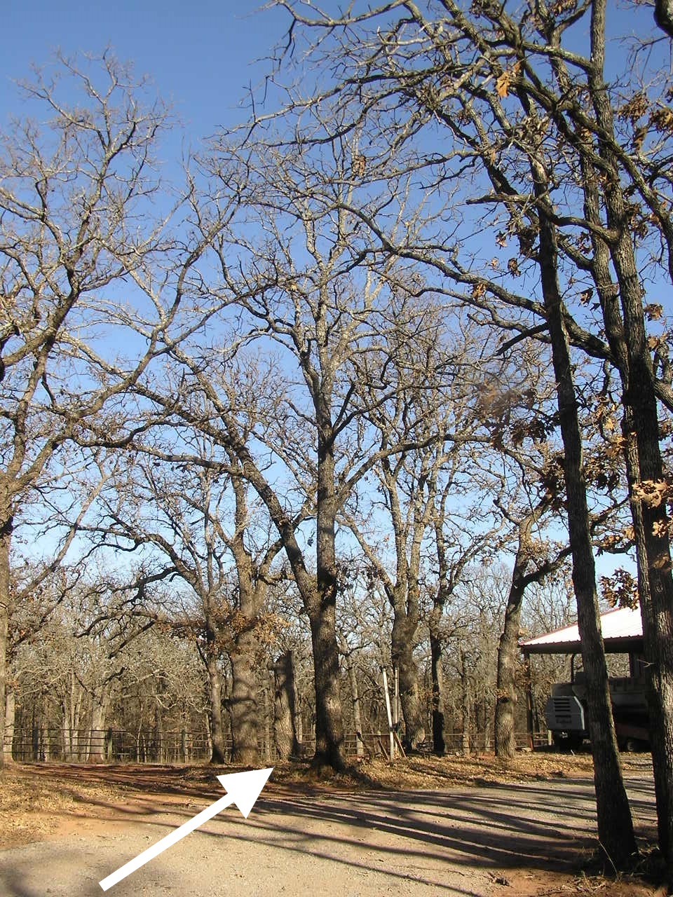 PC260002.JPG