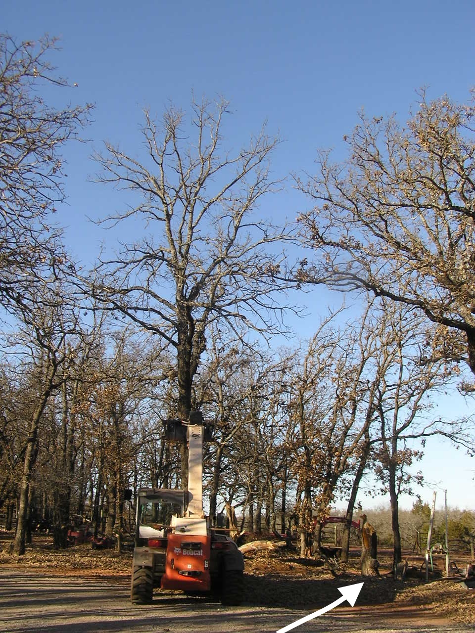 PC260012.JPG