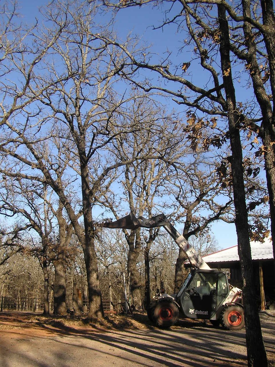 PC260014.JPG
