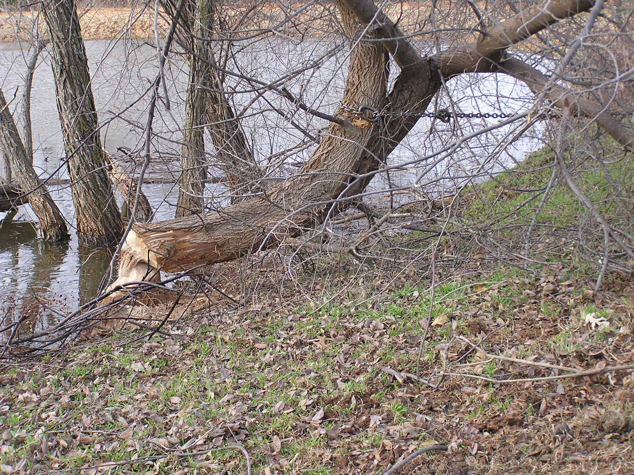 PC271418.JPG