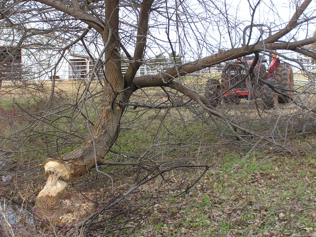 PC271422.JPG